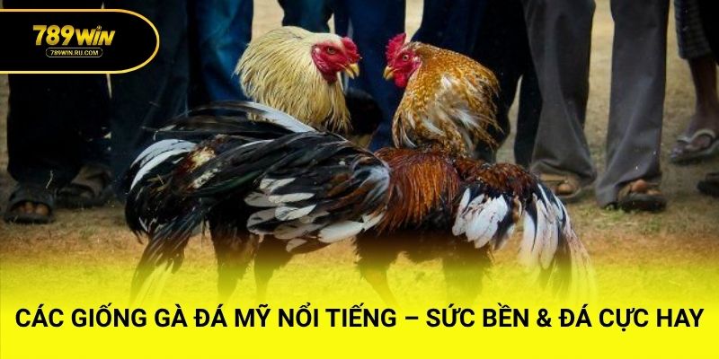 Cách kết hợp vảy với các yếu tố khác
