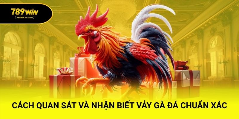 Cách quan sát và nhận biết vảy gà đá chuẩn xác
