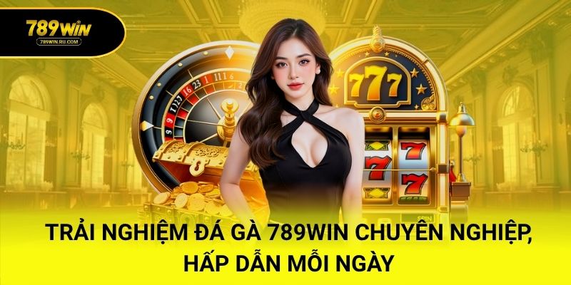 Trải nghiệm đá gà 789WIN chuyên nghiệp, hấp dẫn mỗi ngày
