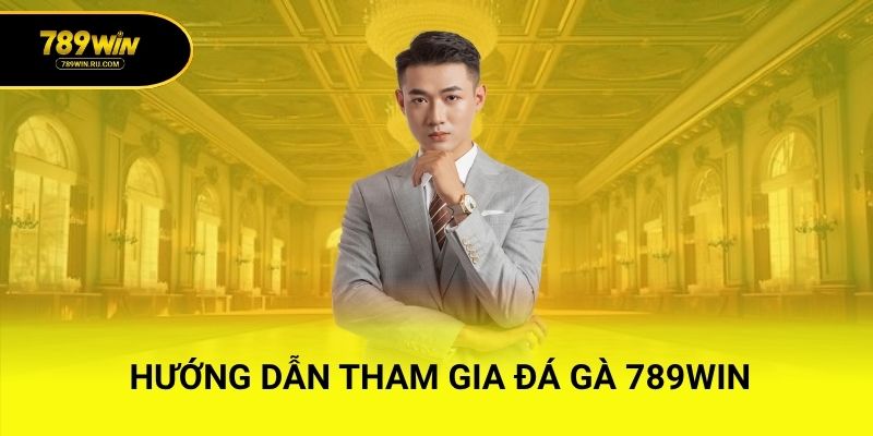 Hướng dẫn tham gia đá gà 789WIN